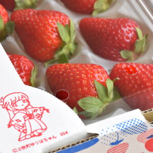 yӂ邳Ɣ[ŁzE!ӂ邳Ɣ[ŏq@ޗǌuh䕁uÓs؁v250g×4pbN(2Lȏ)2P[XyzsnFEkCEꌧzy1457225z