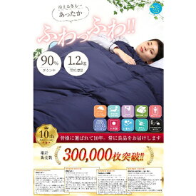 【ふるさと納税】【選べる色柄】羽毛布団シングル掛け布団日本製ダウン90％1.2kg立体スクエアキルト8か所ループ付き