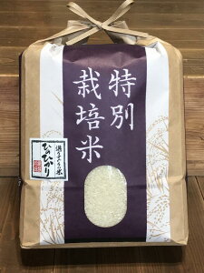 yӂ邳Ɣ[ŁzyVĐstzyߘa7NxYzy11{菇\zʍ͔| Ђ̂Ђ 3kg/// Ђ̂Ђ qmqJ uh    a ɂ ނ 