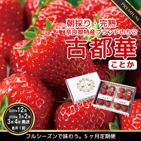 【ふるさと納税】【数量限定】【先行予約】【12・1・2・3・4月発送】奈良県特産 高級ブランドいちご「古都華」旬の5ヶ月定期便 // いちご イチゴ 古都華 フルーツ 果物 旬 限定 ブランド 定期便