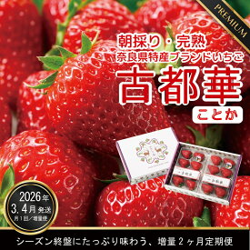【ふるさと納税】【3・4月増量発送】奈良県特産 高級ブランドいちご「古都華」旬の2ヶ月定期便 4パック×2ヶ月// いちご イチゴ 古都華 フルーツ 果物 旬 限定 ブランド 定期便