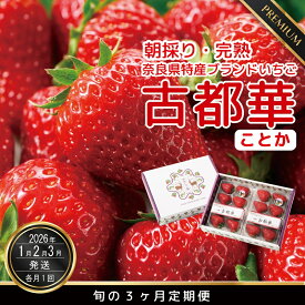 【ふるさと納税】【数量限定】【先行予約】【1・2・3月発送】奈良県特産 高級ブランドいちご「古都華」旬の3ヶ月定期便 // いちご イチゴ 古都華 フルーツ 果物 旬 限定 ブランド 定期便