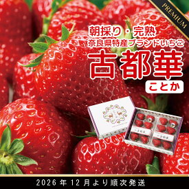 【ふるさと納税】【数量限定】【12月より順次発送】奈良県特産 高級ブランドいちご「古都華」 // いちご イチゴ 古都華 フルーツ 果物 旬 限定 ブランド 朝採り 完熟 いちご ことか イチゴ 先行予約 古都華 数量限定 古都華 甘い