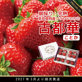 【ふるさと納税】【数量限定】【先行予約】【3月より順次発送】奈良県特産 高級ブランドいちご「古都華」 // いちご イチゴ 古都華 フルーツ 果物 旬 限定 ブランド 朝採り 完熟 いちご ことか 先行予約 古都華 数量限定 古都華 甘い 先行受付 予約 贈答用 ギフト 化粧箱