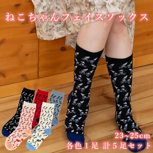 yӂ邳Ɣ[ŁzlRtFCX\bNX 23`25cm 5Zbg / C \bNX Zbg A\[g  킢 C Jt i C fB[X zCg bh Cgu