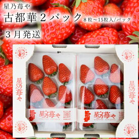 【ふるさと納税】先行予約 奈良県ブランドイチゴ古都華2パック 3月発送 // /苺 いちご イチゴ 古都華 奈良 奈良県 広陵町 生産者直送 直送 厳選 数量限定 旬 フルーツ 甘い 完熟 果物 星乃苺や