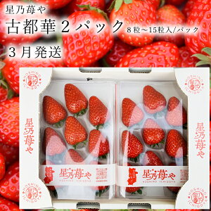 yӂ邳Ɣ[Łzs\ ޗǌuhC`SÓs2pbN 3 // /  C`S Ós ޗ ޗǌ L˒ YҒ  I ʌ { t[c Â n ʕ T䕂