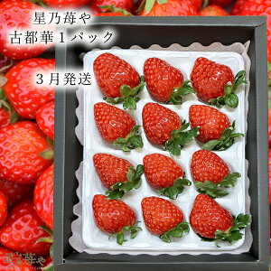 yӂ邳Ɣ[Łzys\zyÓs؁z1pbN 2026N3 IWip // /  C`S Ós ޗ ޗǌ L˒ YҒ  I ʌ { t[c Â 