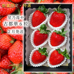 yӂ邳Ɣ[Łzs\ I嗱 ޗǌ̂Ós1pbN 2026N2 // /  C`S Ós ޗ ޗǌ L˒ YҒ  I ʌ { t[c Â n