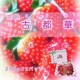 【ふるさと納税】【先行予約】【2月発送】「古都華」いちご好きのためのいちご 奈良県ブランドいちご // いちご イチゴ 古都華 フルーツ 果物 旬 甘い 先行受付 予約
