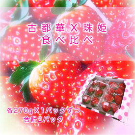 【ふるさと納税】【先行予約】【1月発送】「古都華」「珠姫」いちご好きのための食べ比べセット 奈良県ブランドいちご // いちご イチゴ 古都華 フルーツ 果物 旬 甘い 先行受付 予約