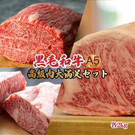 【ふるさと納税】黒毛和牛 A5 ブロック肉 6kg 食べ比べ モモ ヒレ サーロイン 各2kg A5ランク 牛肉 冷蔵 ステーキ 楽天ふるさと 納税 奈良県 奈良 河合町 牛 国産牛 国産牛肉 和牛 肉 ブロック 食材 食べ物 食品 プレゼント ギフト 贈り物 贈答品 お取り寄せ グルメ 美味しい