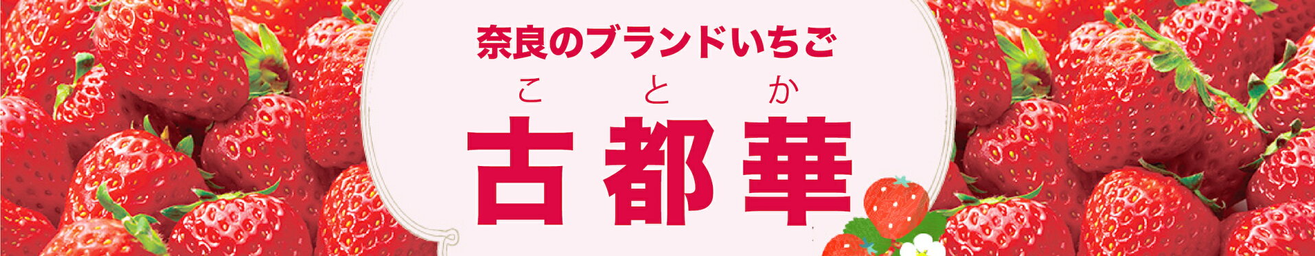 奈良のブランド苺ことか