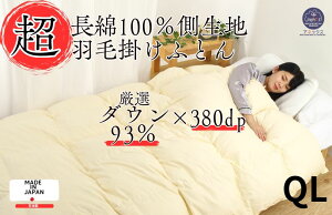 yӂ邳Ɣ[ŁzHѕzc 񖇍킹 NC[ _E93% |1.4kg |0.6kg { N[ 60Ԏ I[V[Y N g | R hL L zc zc y ӂ