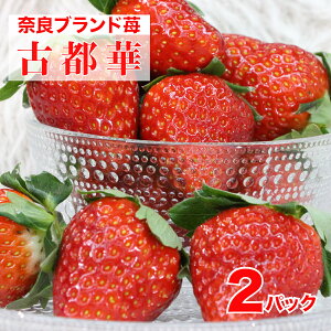 yӂ邳Ɣ[Łzy2026Ns\z Ós Ƃ 270g 2pbN v540g  ޗ ޗǌY 500g ȏ C`S Xgx[ lC  ] ʕ uh uh