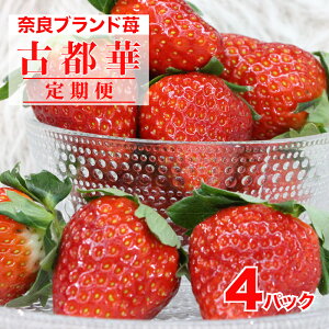 yӂ邳Ɣ[Łzy2026Ns\zy2ցz Ós Ƃ 270g 4pbN v1080g  ޗ ޗǌY 1kg C`S Xgx[ lC  ] ʕ uh u