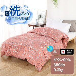 yӂ邳Ɣ[Łz􂦂 Hѕzc |zc VOTCY R[sN k { _E90% 0.3kg K[uJ[T tėp R hL L  ł  ې zc zc _