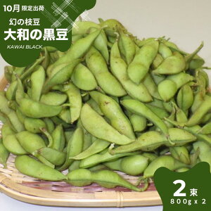 yӂ邳Ɣ[Łzy10{o׌z̎} a̍ KAWAI BLACK 1.6kg (800g×2) ʌ } ޗǌ ޗ ԗi ܂ G_} ① 񂹃O nO  Yi 