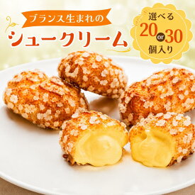 【ふるさと納税】ミニヨンシュークリーム シュークリーム 選べる20個 30個 冷凍 ミニシュー カスタード 個包装 洋菓子 スイーツ お菓子 デザート お取り寄せスイーツ 冷凍スイーツ 大容量 人気 おやつ パーティー 手土産 ギフト プレゼント お中元 夏ギフト 送料無料