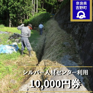 yӂ邳Ɣ[ŁzVo[lރZ^[p Iׂ3 b Еt  | s