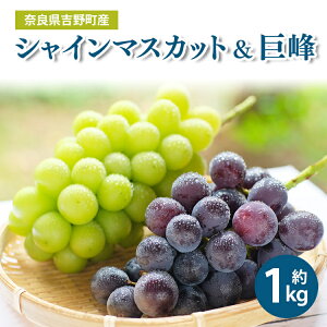 yӂ邳Ɣ[ŁzVC}XJbg   1kg e1[iv2[j t[c Ԃǂ }XJbg  ʕ ޗǌ g쒬  ʕ