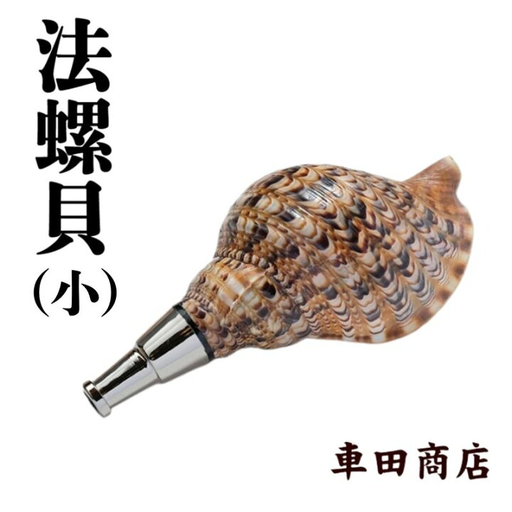 楽天市場】【ふるさと納税】法螺貝 小/中/大/特大 奈良県吉野町 修験道 