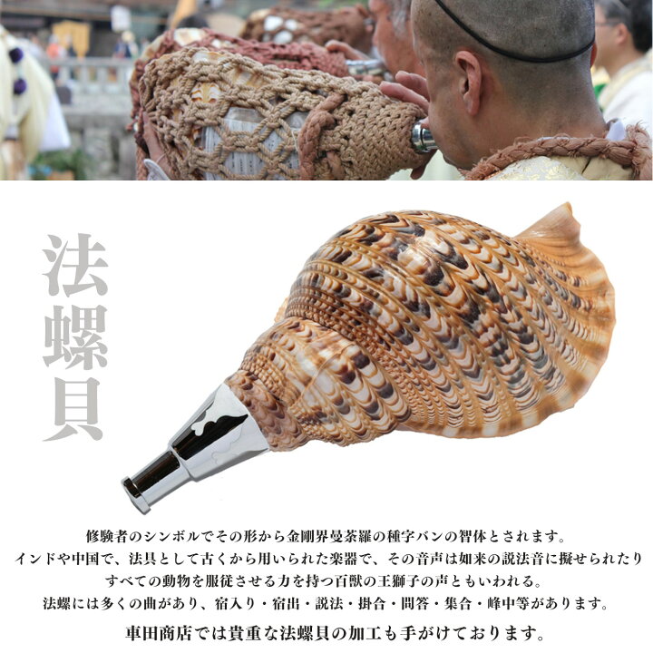 楽天市場】【ふるさと納税】法螺貝 小/中/大/特大 奈良県吉野町 修験道 