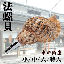 楽天市場】法螺貝（楽器・音響機器）の通販