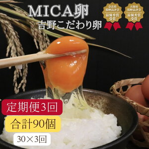 yӂ邳Ɣ[Łzy  3 z g삱  MICA 1 L i 30 x 3 j ܂ ޗǌ g쒬 V{{  ʎq  { Z ޗǌ{i]ŗDG܎ ޗǌ