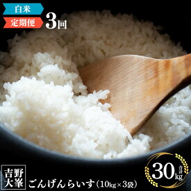 【ふるさと納税】【 定期便 】奈良 お米 お届け便 10 kg × 3ヵ月連続 計 30kg 白米 精米 お米 奈良県 吉野町 30キロ ひのひかり ライス 便利 半年 ごはん お米 米 奈良県産