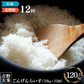 【ふるさと納税】奈良のお米のお届け便　10kg×1年分 （計12回） 白米 精米 米 ライス 計 120kg 大容量 奈良 吉野町 ごんげんらいす お米 120キロ ひのひかり