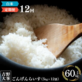 【ふるさと納税】奈良のお米のお届け便 5kg ×1年分 計 60kg 白米 精米 お米 5キロ 60キロ ごはん 米 ひのひかり ライス
