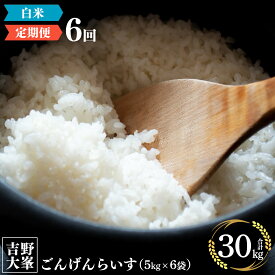 【ふるさと納税】奈良のお米のお届け便 5kg ×半年分 計 30kg 白米 精米 お米 5キロ 30キロ ひのひかり ごはん 米 ライス