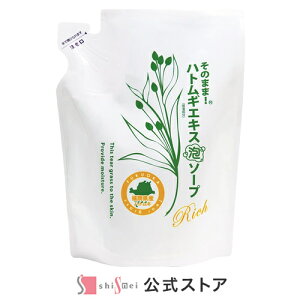 【ふるさと納税】そのまま!ハトムギエキス泡ソープ詰替え420ml