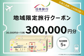 【ふるさと納税】日本旅行 地域限定旅行クーポン 300,000円分 奈良県 吉野町 トラベル チケット 旅行
