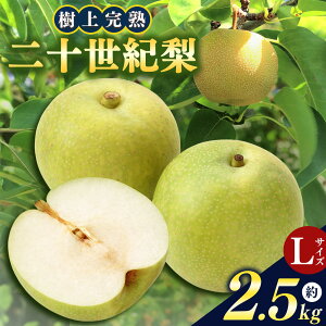yӂ邳Ɣ[ŁzޗǌY \I LTCY ϔ 2.5kgȏ 10 | ʕ  t[c  20I ޗǌ 嗄 G Yn ㊮n _