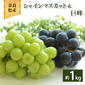 yӂ邳Ɣ[ŁzVC}XJbg &  1.0kg 2[ | 8{蔭 ʕ  t[c Ԃǂ  1L 1kg 1[ ޗǌ g 嗄 }XJbg Hה