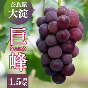 yӂ邳Ɣ[Łz 1.5kg i2`3[j | 8{蔭 ʕ  t[c Ԃǂ  ޗǌ g 嗄