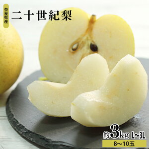 yӂ邳Ɣ[Łzs\ \I 3kg L ` 3L i 8 ` 10 j | ʕ  t[c  n Ԍ Yn 嗄 ޗ