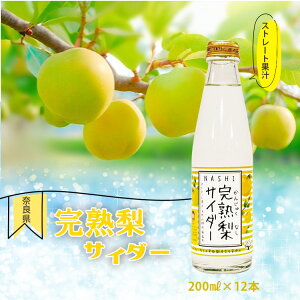 yӂ邳Ɣ[ŁznTC_[ 200ml×12{Zbg | W[X TC_[ Y_  n a ʏ` ޗǌ 嗄