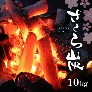yӂ邳Ɣ[Łz vp Y u Y v 10kg | Y IK Y Ύǂ Η ԔR  Y IKY Lv BBQ AEghA Ԍ Lv o[xL[ dX
