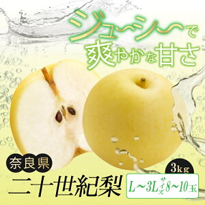 yӂ邳Ɣ[Łz\I L ` 3L TCY 3kg 8 ` 10 | t[c ʕ   K ޗǌ 嗄