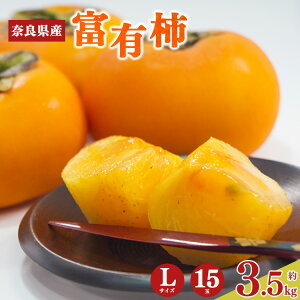 yӂ邳Ɣ[Łzs\ xL` LTCY 15   3.5kg | t[c ʕ  ` xL` l Yn ޗǌ 嗄