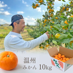 yӂ邳Ɣ[ŁzB݂ 10kg 刢ňl ݂ | ʕ  t[c ݂ ~J Y   ƒp _ƒ   12 1  ޗǌ 嗄