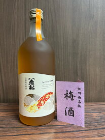 【ふるさと納税】長期熟成梅酒（2006年仕込）（藤村酒造株式会社）