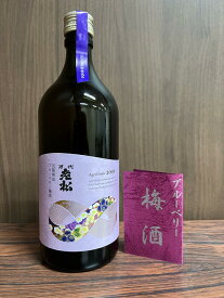 【ふるさと納税】長期熟成ブルーベリー梅酒（2006年仕込）（藤村酒造株式会社）