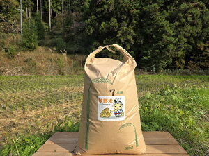 �y�ӂ邳�Ɣ[�Łz�H��āi����30kg�E�ߘa7�N�Y�j�i�H��_���j