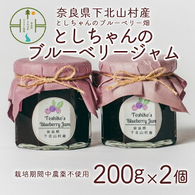 【ふるさと納税】先行受付 2024年9月～発送 栽培期間中農薬不使用 としちゃんのブルーベリージャム200gx2個 手摘み 下北山村産