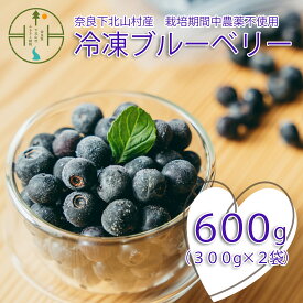 【ふるさと納税】先行受付 2025年7月～発送 栽培期間中農薬不使用 としちゃんのブルーベリー 300gx2 手摘み 下北山村産