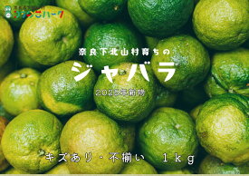 【ふるさと納税】2025年度新物！先行予約！奈良県下北山村産 ジャバラ果実 ＜キズあり・サイズ混合＞ 1kg（12月中旬以降発送）